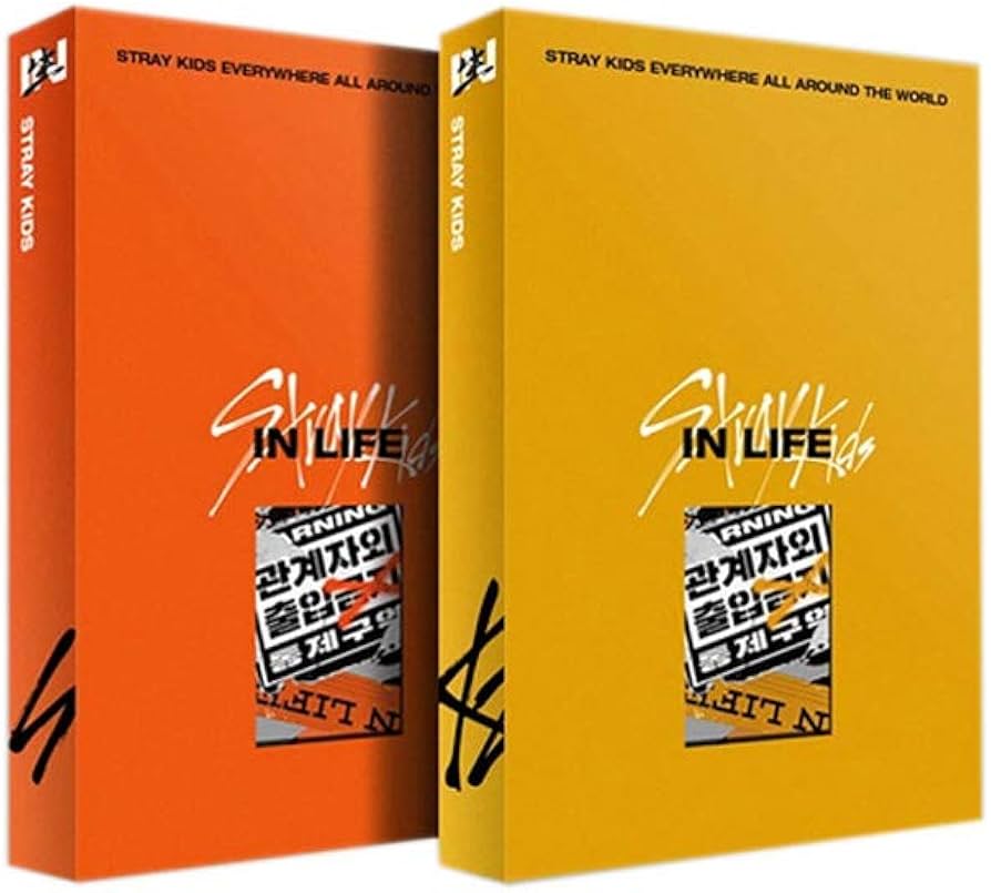 Stray Kids Repackage Album In Life