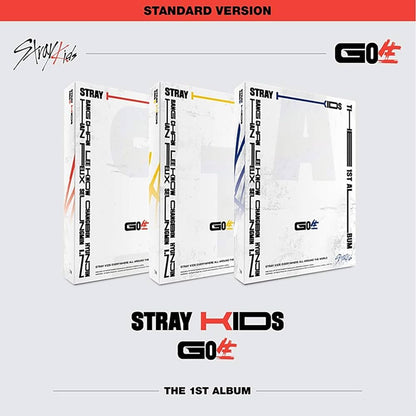 Stray Kids 1st Album GO LIVE