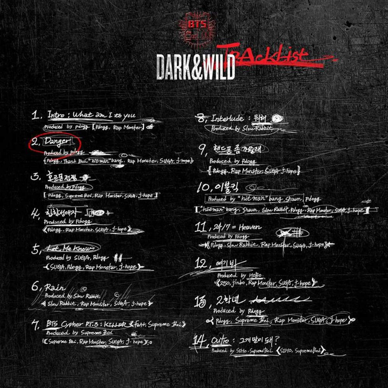 BTS - DARK & WILD
