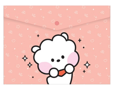 BT21 minini PP File Pocket