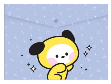 BT21 minini PP File Pocket