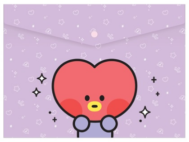 BT21 minini PP File Pocket